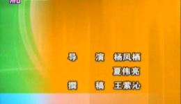 独养女儿