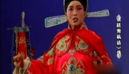 张廷秀私访