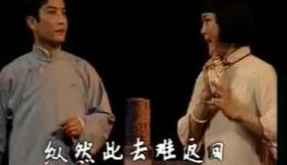 沪剧经典《啼笑姻缘》全剧下载，马莉莉、陆敬业、韩玉敏主演，不容错过