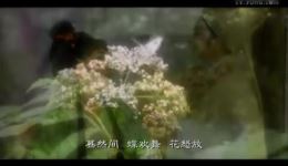 越剧全剧《牡丹亭》在线观看下载 王君安金静主演高清资源下载
