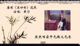 唐剧《卖妙郎 公爹在上听儿劝》黄宁主演，孝道与坚韧的感人故事在线下载