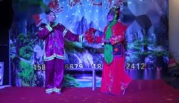 陕南花鼓戏《劝嫁妆》王慧演唱，传统婚俗戏曲，经典地方文化剧目在线下载