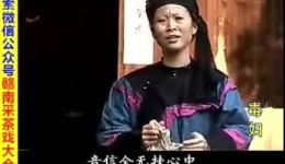 毒妇