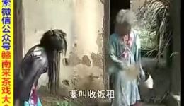 赣南采茶戏《盘花生》全集下载，经典乡村题材戏曲资源一键获取