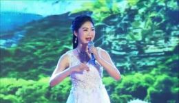 2019霞露村潮剧专题演唱会A沉浸式领略传统潮剧魅力,畅享经典视听盛宴 2019霞露村潮剧专题演唱会A沉浸式领略传统潮剧魅力,畅享经典视听盛宴