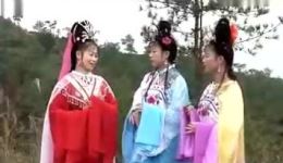 画中美人
