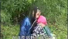 香棱镜