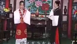 珍珠塔（方卿戏姑）