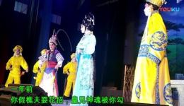 雷剧《玉龙佩》高清全集下载_陈碧波李德林主演经典剧目资源下载