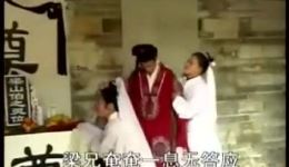 山伯归天重圆