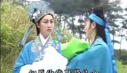 逼子休妻