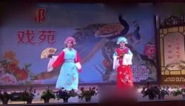 二夹弦《梁山伯与祝英台》十八里相送 杨玉玲冯九霞演唱 经典戏曲下载下载