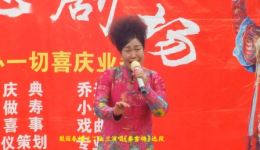 梨园春擂主丁淑兰豫剧《秦雪梅》选段下载,经典唱段在线获取 梨园春擂主丁淑兰豫剧《秦雪梅》选段下载,经典唱段在线获取