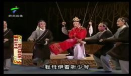 潮剧折子戏《寻花问柳我第一人》费兴陈鸿飞主演，经典丑角演绎，领略潮剧独特韵味下载