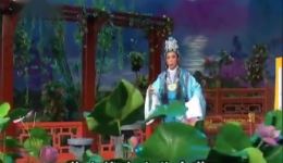 宝玉哭晴雯