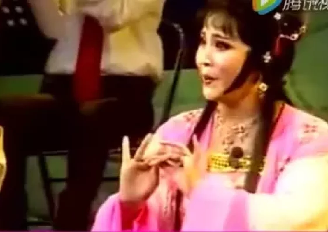 主胡王俊扬剧音乐50年演唱会