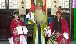 庐剧《珍珠塔》3 全场戏 - 魏小波等名家经典演绎 高清戏曲资源下载下载