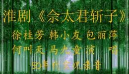 淮剧《佘太君斩子》50年代经典实况录音 徐桂芳等名家联袂演绎