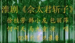 淮剧《佘太君斩子》全场高清下载 韩小友经典演绎 忠烈家风戏曲资源