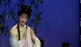 追鱼·书馆