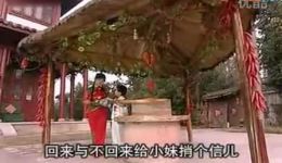 徐善云经典民间小调《送情郎》下载，难舍难分情意长，正版戏曲资源下载