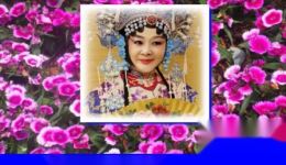 评剧《卷席筒》探监选段在线观看与下载，陈少舫刘淑萍经典演绎下载
