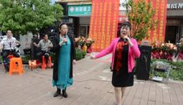 赣剧《牡丹点药》李巧英晏丽珍演唱，经典戏曲在线下载，领略非遗韵味