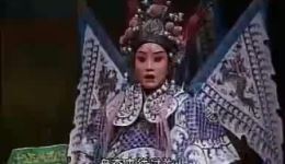 上党落子经典剧目《忠保国》在线观看下载 - 忠臣护国大戏 上党落子经典剧目《忠保国》在线观看下载 - 忠臣护国大戏