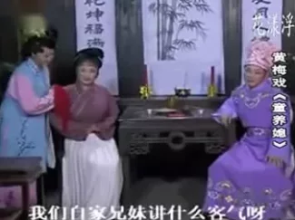 黄梅戏《童养媳》全集免费下载,高清完整版资源,经典传统戏曲 黄梅戏《童养媳》全集免费下载,高清完整版资源,经典传统戏曲