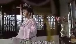 黄梅戏《一夜情仇》全剧高清下载 - 李娜施兴华主演经典戏曲资源