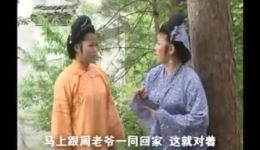 天要下雨娘要嫁