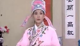 黄梅戏《王老虎抢亲》全集下载 - 经典喜剧戏曲资源在线观看