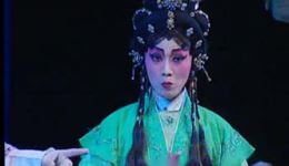 狸猫换太子