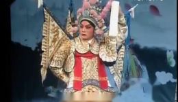 罗成写书