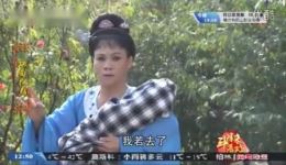 双面红颜