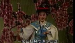 芗剧《龙凤金锁》全集在线观看与下载 - 高清芗剧资源一站式获取 芗剧《龙凤金锁》全集在线观看与下载 - 高清芗剧资源一站式获取