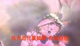 莆仙戏《化蝶恋》高清资源下载｜经典爱情戏曲全本在线观看