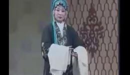 大平调《大登殿》高清资源下载，邢宝军王素爱经典演绎，河南戏曲名剧首选下载