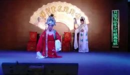 扬剧《庵堂认母》高清资源下载｜庞菲含羞草主演经典亲情大戏下载