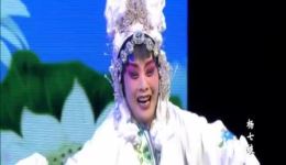 上党落子《杨七娘》全场戏曲下载，高清mp3/mp4资源，经典剧目完整呈现下载