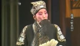 诸葛亮系列