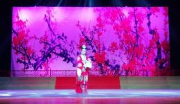 广东汉剧《盘夫》“我爱你”唱段张敏演唱,国家级非遗戏曲选段在线下载 广东汉剧《盘夫》“我爱你”唱段张敏演唱,国家级非遗戏曲选段在线下载