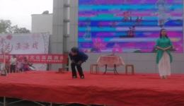 丑嫂