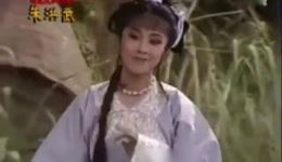新求佳人