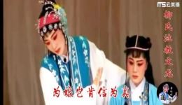 莆仙戏经典《柳氏泣教成龙》在线观看与下载，感受励志家教与命运抗争的戏曲魅力