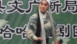 清苑哈哈腔经典剧目《呼家将》《王小打鸟》《皇宫案》全集下载，感受传统戏曲魅力