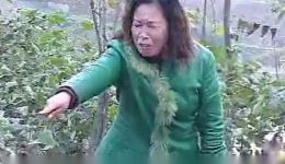 民间小调《媳妇多了娘受苦》下集戏曲视频下载,家庭伦理题材资源速取 民间小调《媳妇多了娘受苦》下集戏曲视频下载,家庭伦理题材资源速取
