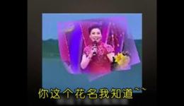 二人转小帽《十对花》闫淑萍戏曲视频MP4/MP3下载，经典二人转小帽资源免费获取