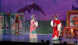 越剧《打金枝》闯宫片段在线观看，张丽敏等实力演绎，经典戏曲不容错过下载