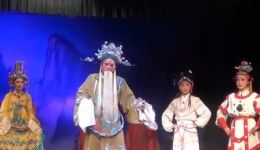 杨文广夺印